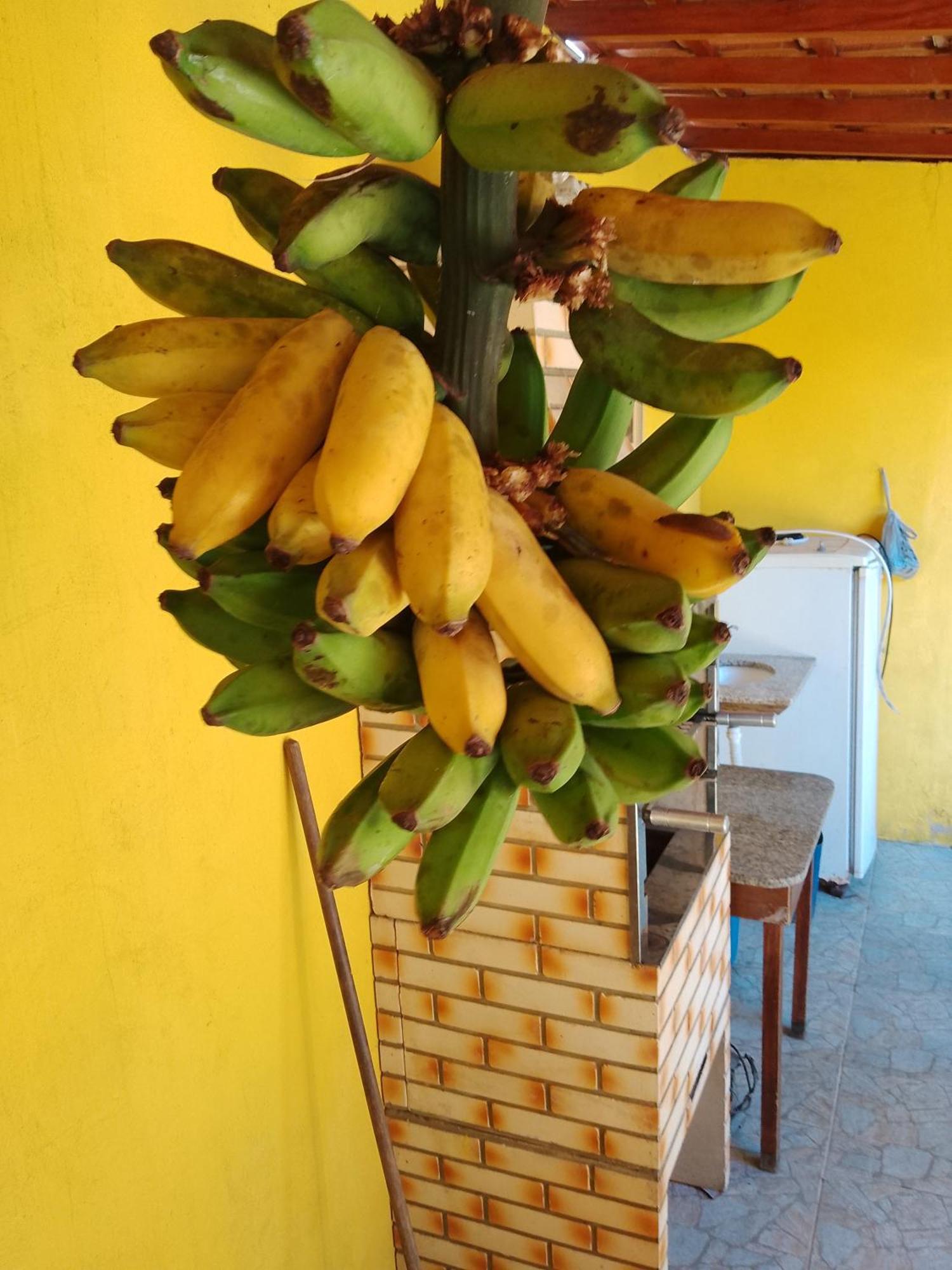 Casa De Temporada Lindas Cachoeiras 10 Paraty Luaran gambar